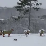 Le Chaleureux De 2 Alpstuga