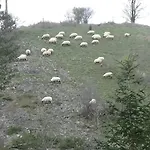 Le Chaleureux De 2 *