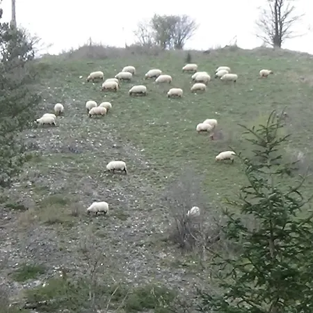 Le Chaleureux De 2 *