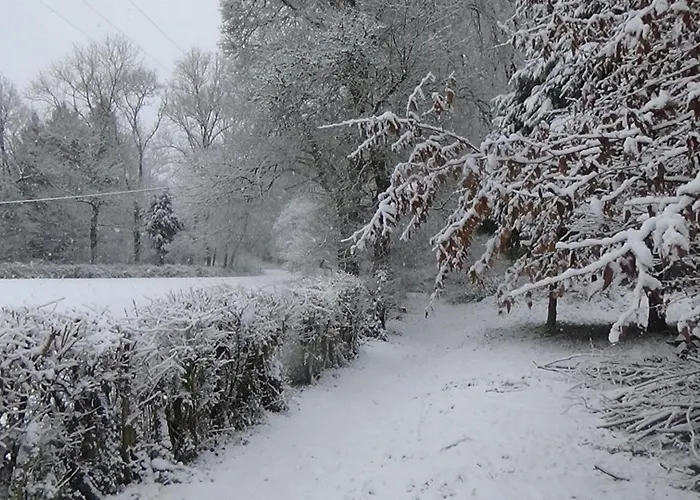 Le Chaleureux De 2 Chalet Vieuxville