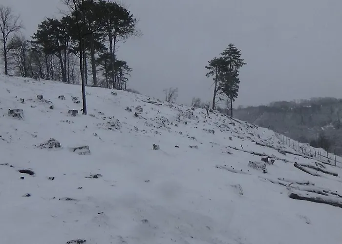 Chalé Le Chaleureux De 2