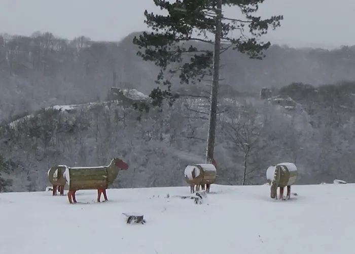 Le Chaleureux De 2 Chalé
