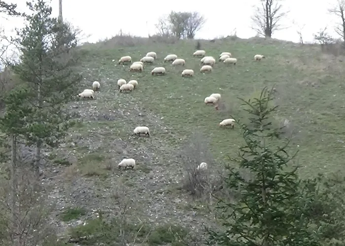 Le Chaleureux De 2 *