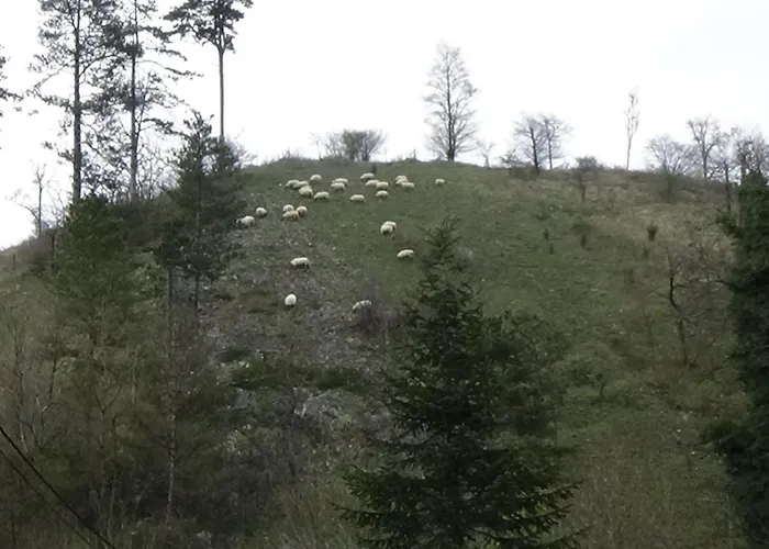 Le Chaleureux De 2 Chalet Vieuxville